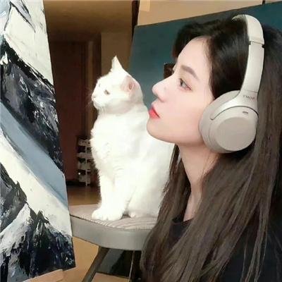 西环的故事